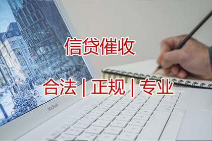 洪山追账公司:民间借贷争议：陈某与章某债权债务案件